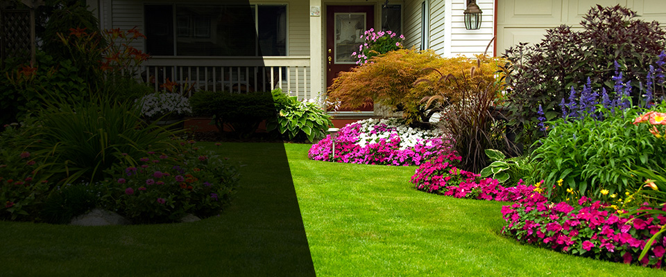 Mount Hope Landscapers