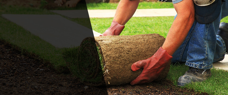 Mount Hope Landscapers